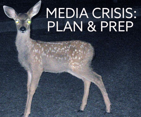 deer in headlights and "media crisis: plan & prep"