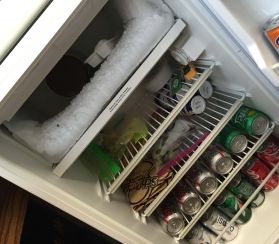 inside fridge inspires sales 1